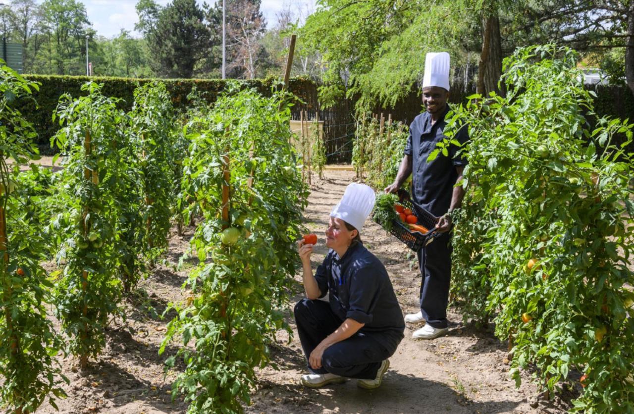 Demeures De Campagne Chemins De Sologne A Orleans Hotel ภายนอก รูปภาพ